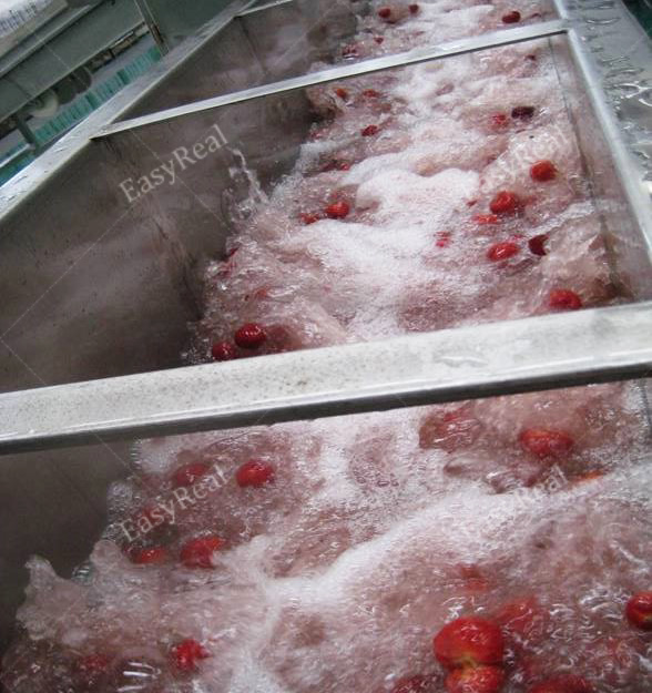 草莓树莓蓝莓生产线