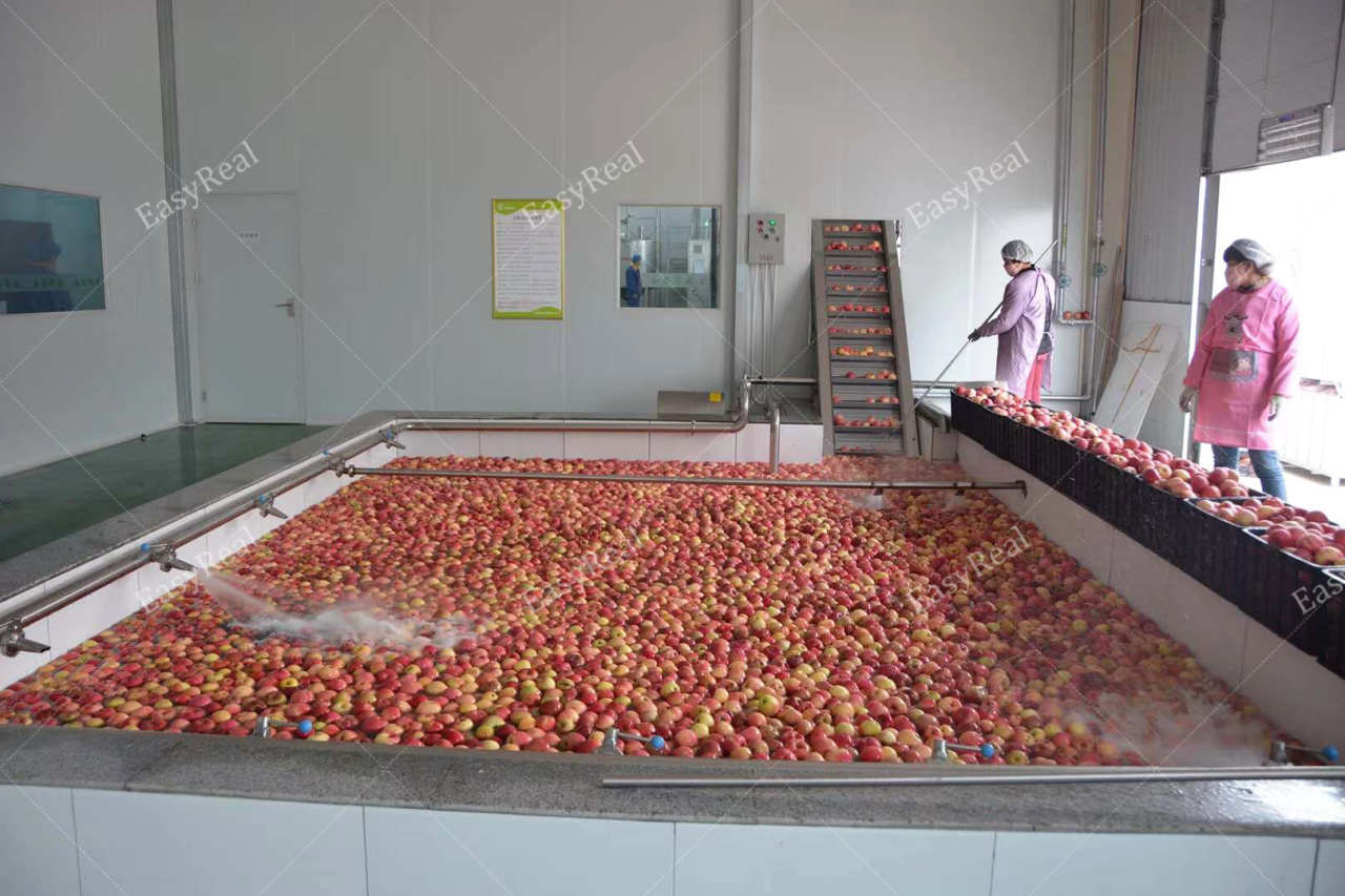 苹果/梨子生产线 