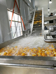 香柚加工生产线
