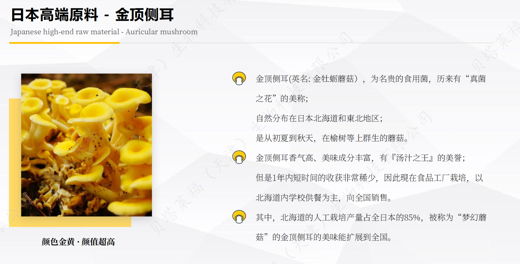 金顶侧耳麦角硫因