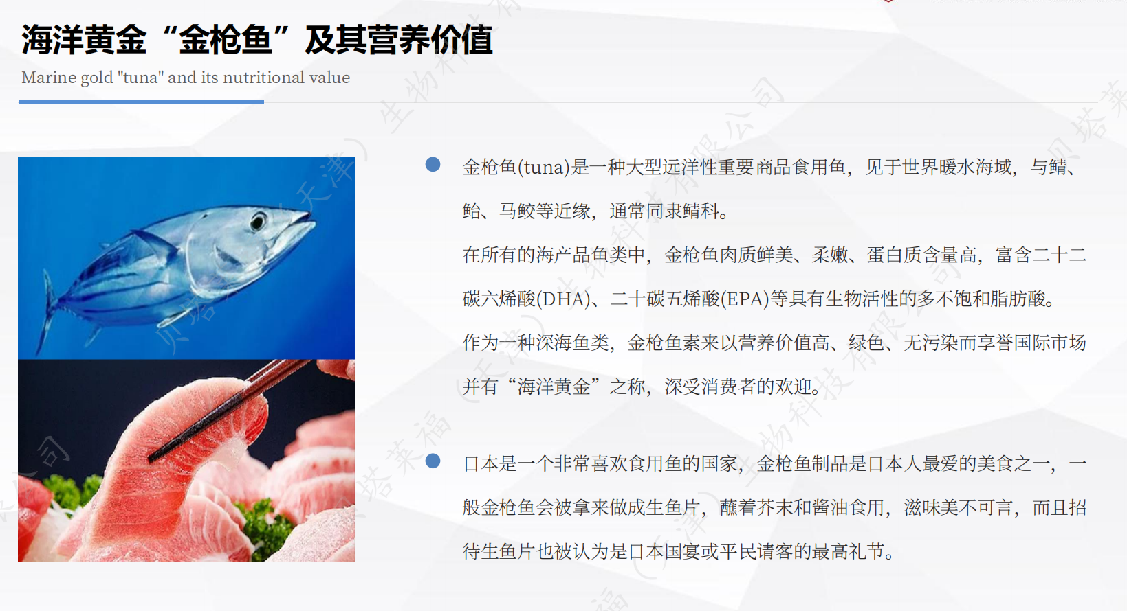 金枪鱼低聚肽饿肌肽