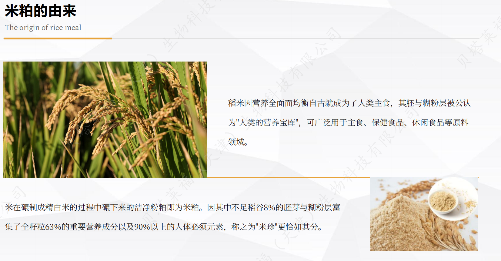 米粕发酵浓缩粉