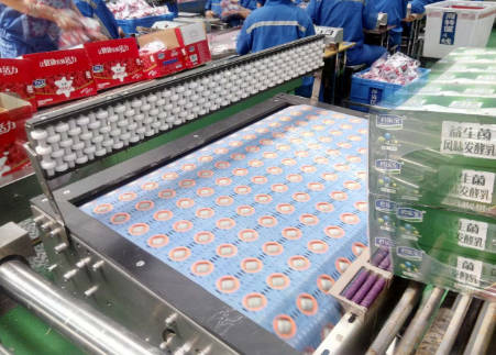  模组带移载输送机