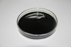 AlgaLab® EPA微藻油
