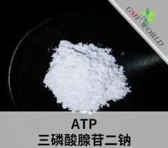 ATP 三磷酸腺苷二钠 98%高含量膳食补充剂原料