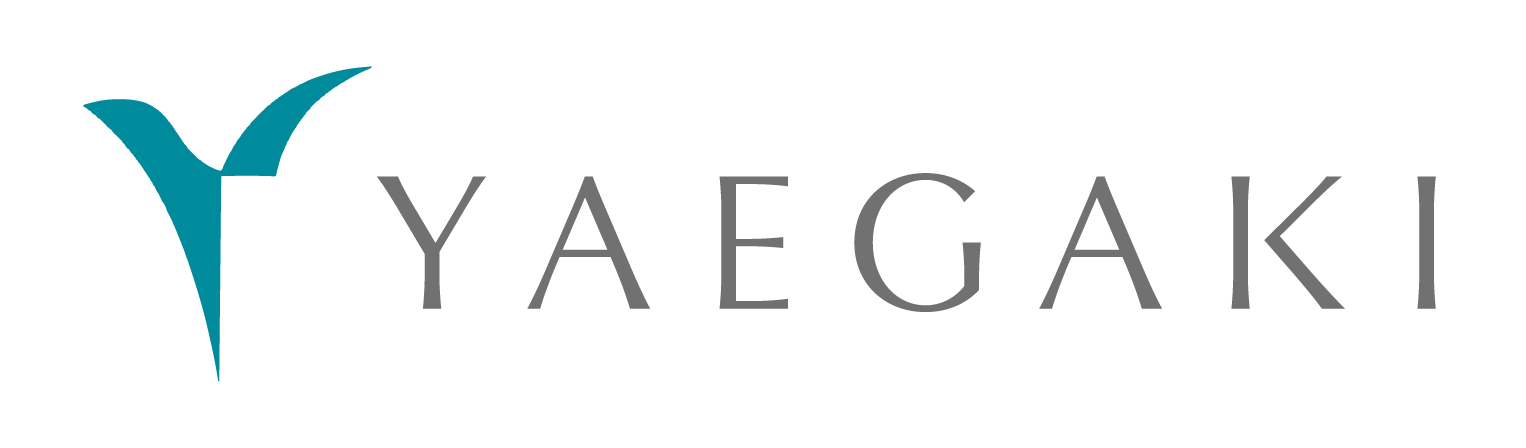 酒粕发酵提取物