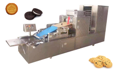 Biscuit Machine -APEX MACHINERY