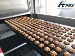 Deposit Cookie Machine -APEX MACHINERY