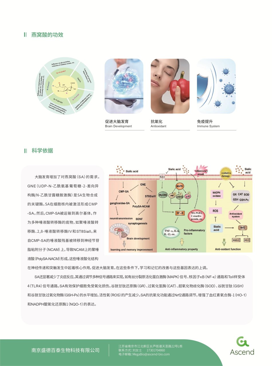 燕窝酸, N-乙酰神经氨酸