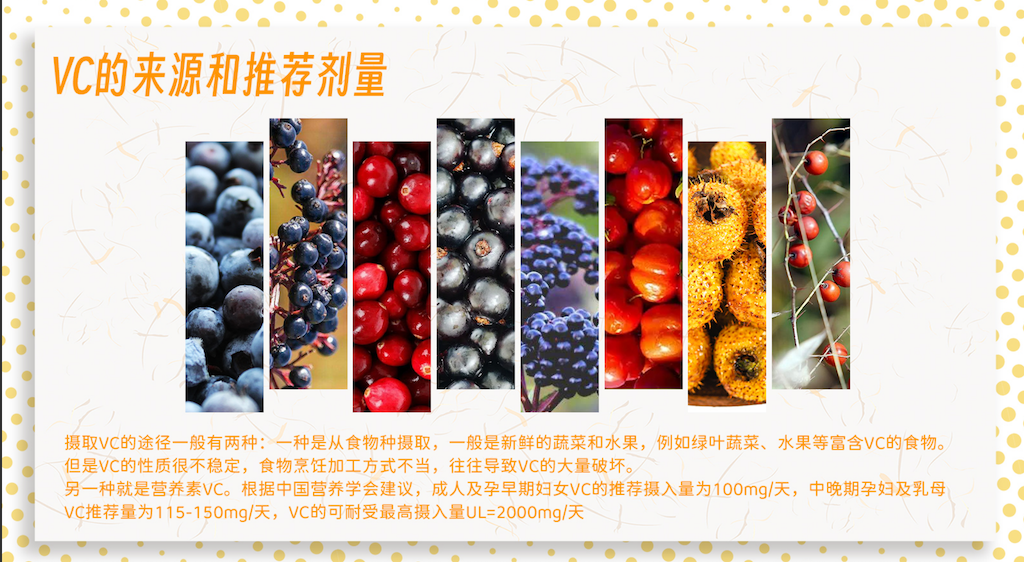 品牌Fniberry林宝莱  蓝莓果汁粉 功能性果汁粉 富含VC