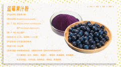 林宝莱  蓝莓果汁粉 功能性果汁粉 富含VC