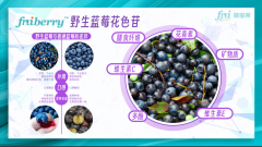 林宝莱 蓝莓花色苷 新食品原料 安全有效专利提取