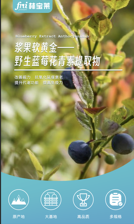 专利提取物 蓝莓花青素25% 安全有效
