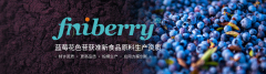 林宝莱 蓝莓花色苷 新食品原料 安全有效专利提取