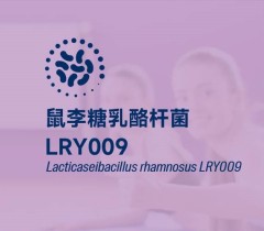 鼠李糖乳酪杆菌LRY009
