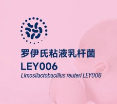 罗伊氏粘液乳杆菌LEY006