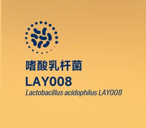 嗜酸乳杆菌LAY008