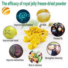 Royal Jelly Capsules (20grains）