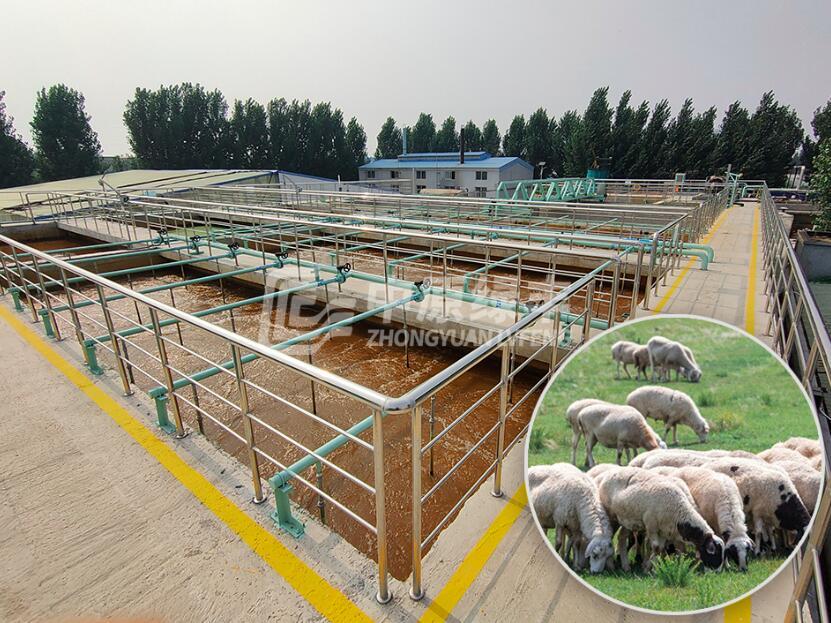 羊屠宰废水处理工程