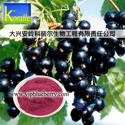 天然浓缩汁 黑加仑浓缩汁