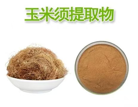 玉米须提取物