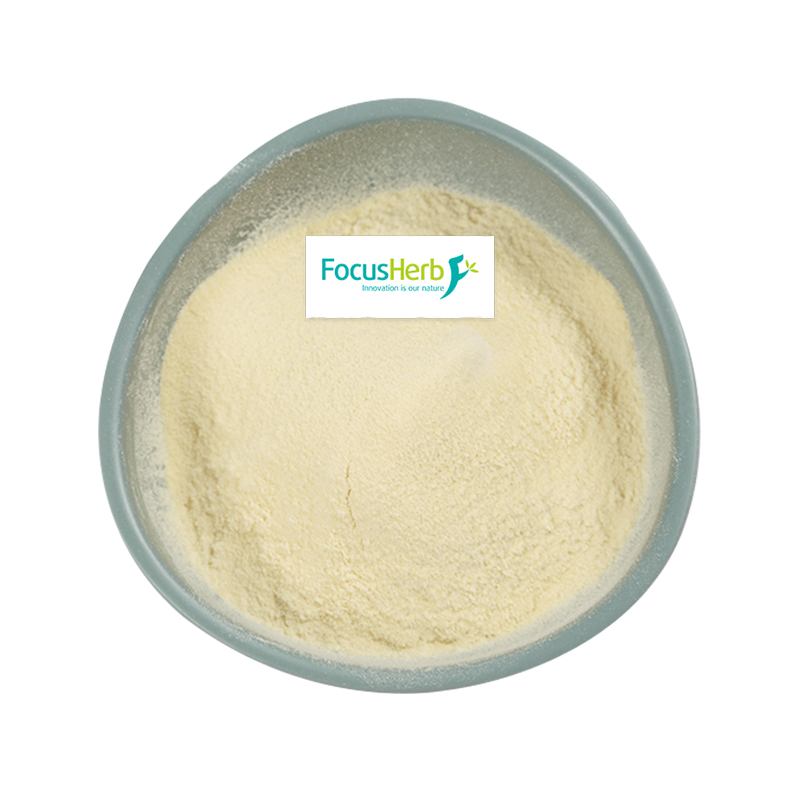 亚精胺 1% 小麦胚芽提取物 GC检测资质全 CAS124-20-9小麦胚芽粉