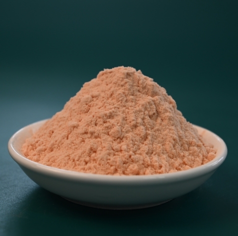 益生菌发酵番茄粉 Fermented Tomato powder