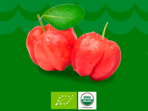 Acerola Juice Concentrate