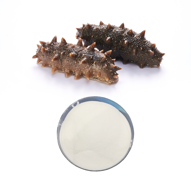 海参肽（Sea Cucumber Peptide）