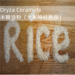 ORYZA米糠油粉（大米神经酰胺弹性酰胺）