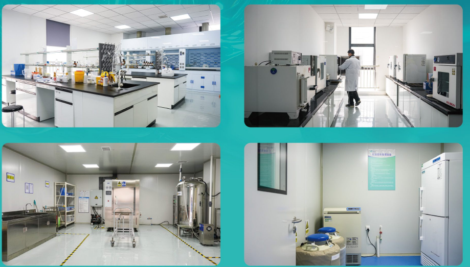 大健康产品的研究与开发