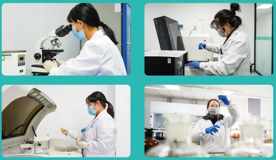 注册备案服务及认证咨询