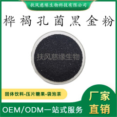 白樺茸黑金顆粒 樺樹茸黑金精粉 白樺茸提取物 規(guī)格可定制 SC廠家