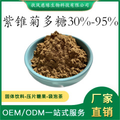 紫锥菊多糖30%-95% 紫锥菊提取物 松果菊多糖 SC厂家 紫锥菊粉