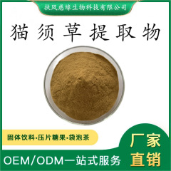 猫须草提取物10:1/20:1 水溶性猫须草粉 肾茶提取物 SC工厂直销