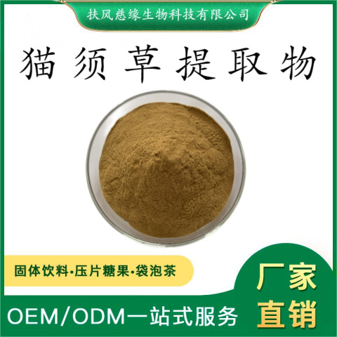 猫须草提取物10:1/20:1 水溶性猫须草粉 肾茶提取物 SC工厂直销