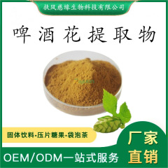 啤酒花提取物10:1/20:1 啤酒花黃銅 SC工廠現(xiàn)貨直銷 啤酒花粉