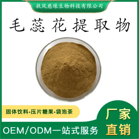毛蕊花提取物10:1/20:1 毛蕊花多糖 现货直销 植物多糖厂家