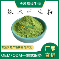 辣木葉生粉99% 辣木葉粉 辣木葉提取物 慈緣生物 廠家直銷 辣木粉