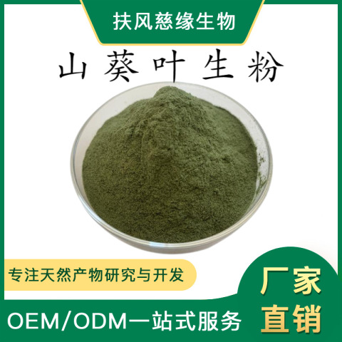 山葵葉生粉 山葵葉粉 慈緣生物 SC工廠直銷 另有 山葵葉提取物
