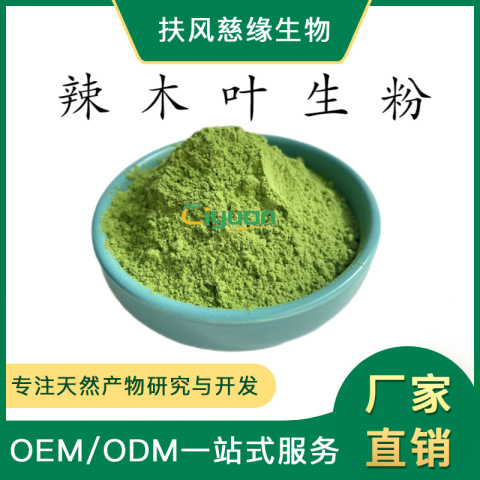 辣木葉生粉99% 辣木葉粉 辣木葉提取物 慈緣生物 廠家直銷 辣木粉