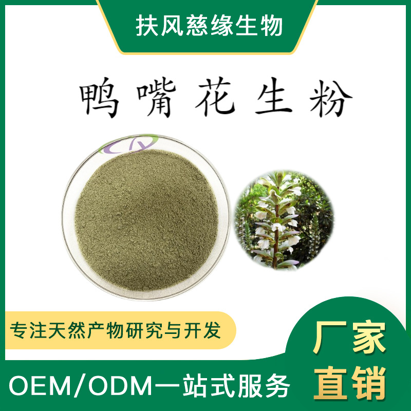 鸭嘴花生粉 鸭嘴花原粉 慈缘生物 现货直销 另有 鸭嘴花提取物