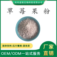 草莓果粉 草莓提取物 水溶草莓粉 SC廠家 食品級 固體飲料原料