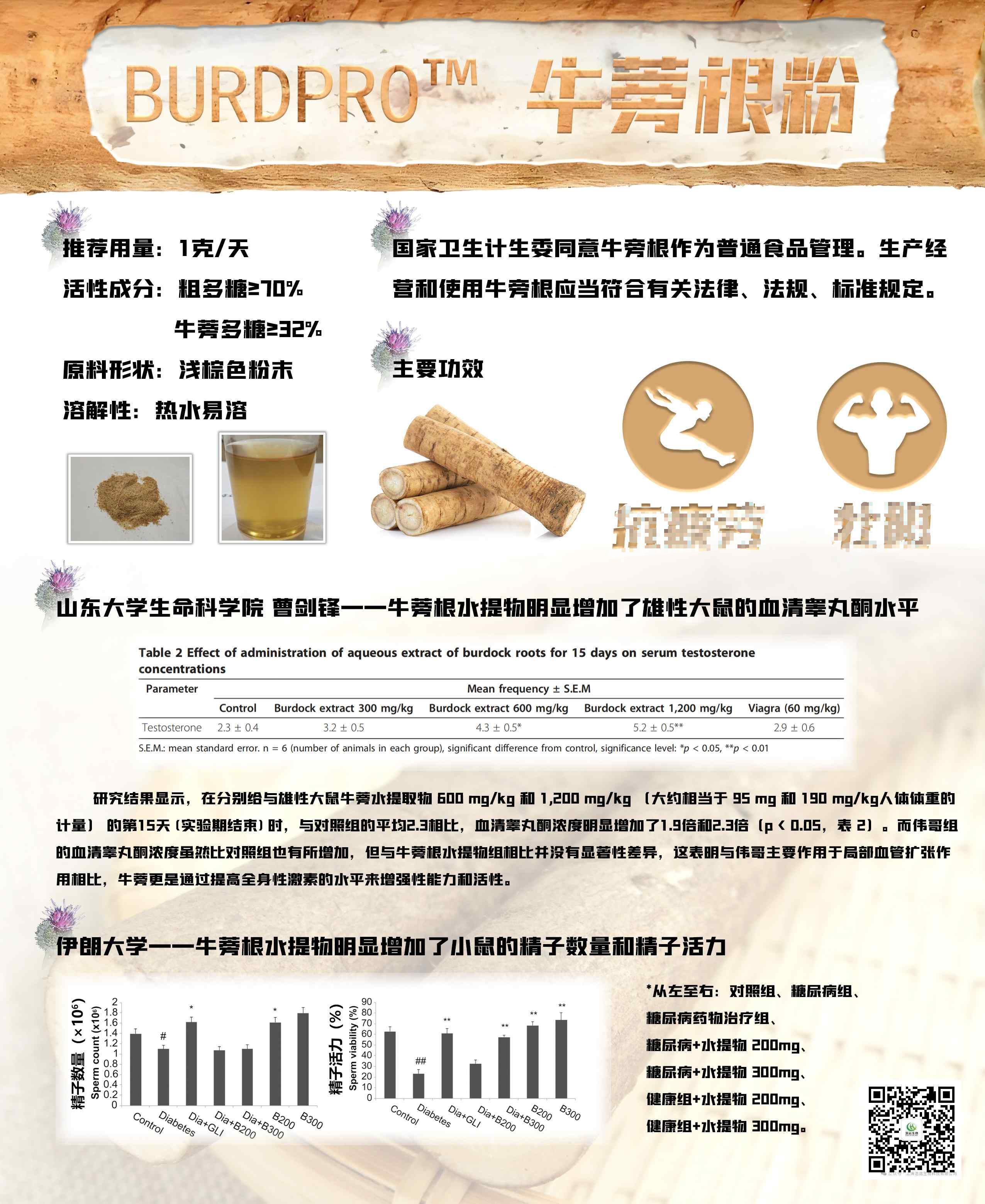 BURDPRO®牛蒡根粉