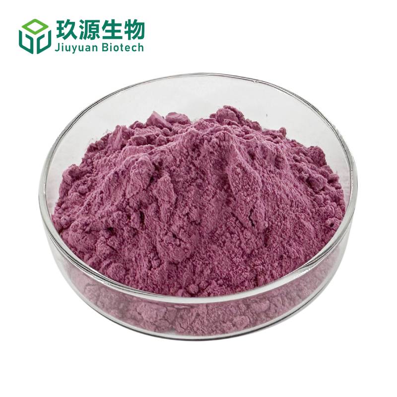 蓝莓汁粉99%全水溶
