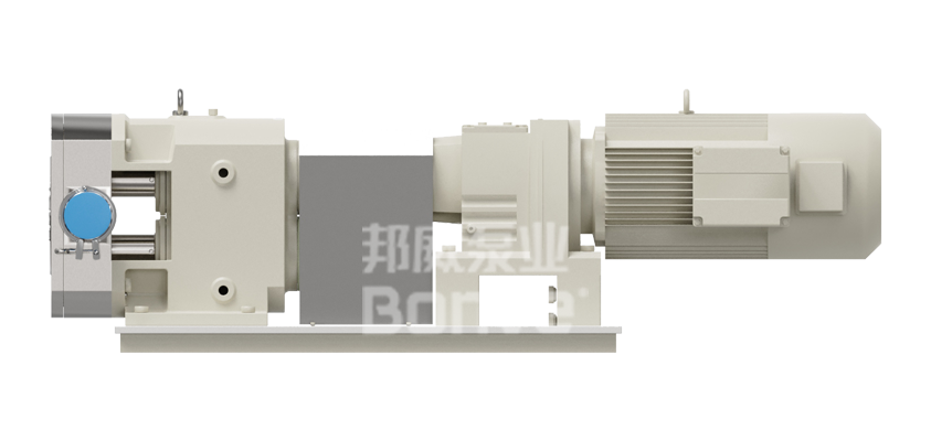 邦威调味品凸轮转子泵