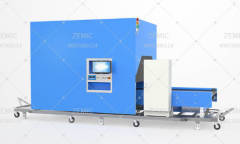 物流系统-国际版DWS系统