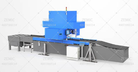 物流系统-四合一DWS系统