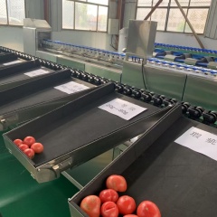 番茄AI智能分選機(jī)