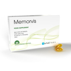 MEMORVIS